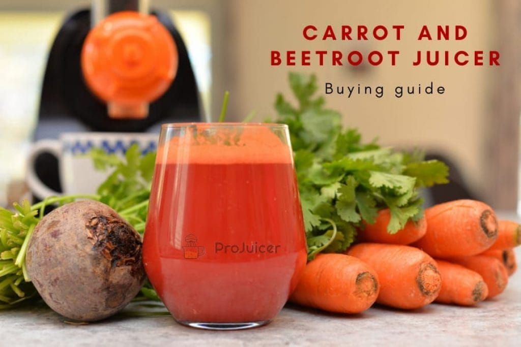 buying guide for carrot and beetroot juicer