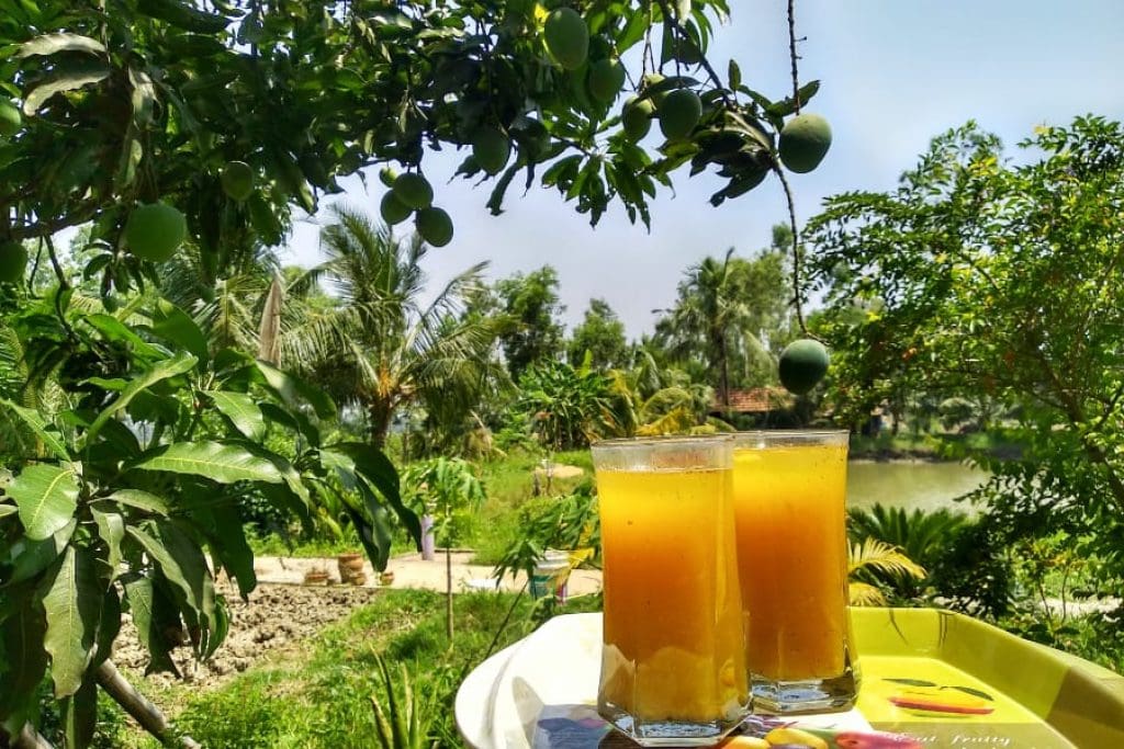 homemade mango juice