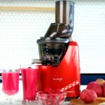 Kuvings B1700 Cold Press Juicer Review: An In-Depth Guide